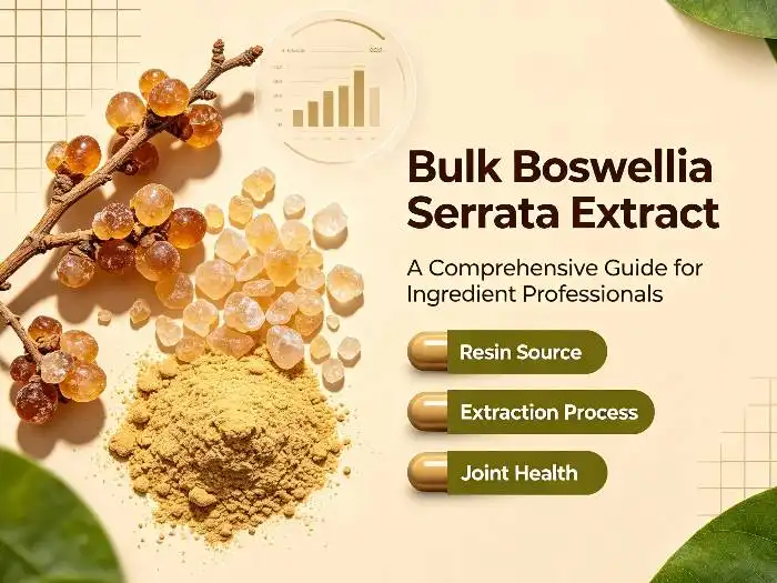 Why Is Standardized Boswellia Serrata Extract Important for Ingredient Buyers?
